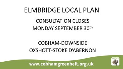 Cobham Green Belt Group Public Meeting 19 Sept 2019