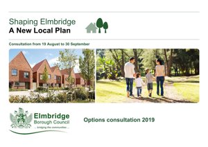 Local Plan Options Consultation Document